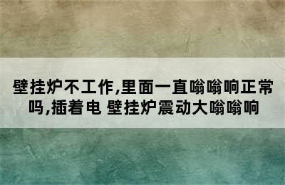 壁挂炉不工作,里面一直嗡嗡响正常吗,插着电 壁挂炉震动大嗡嗡响